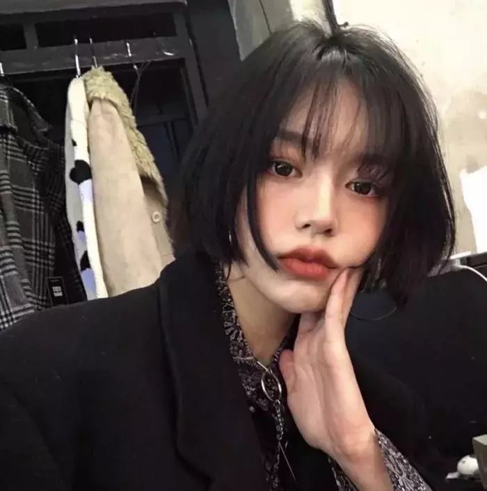 一个叫欧维的男人决定去死