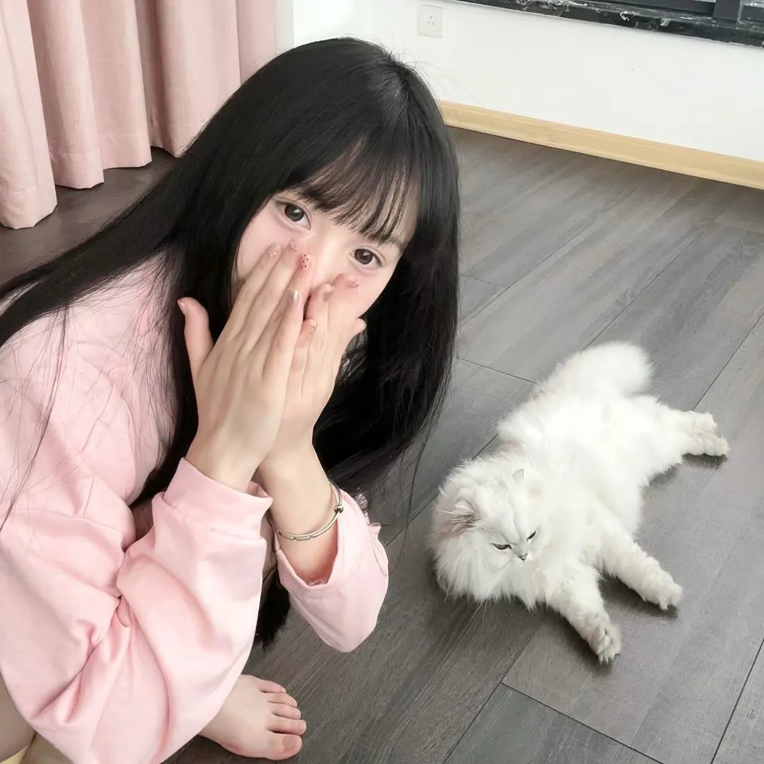 雾的子午线